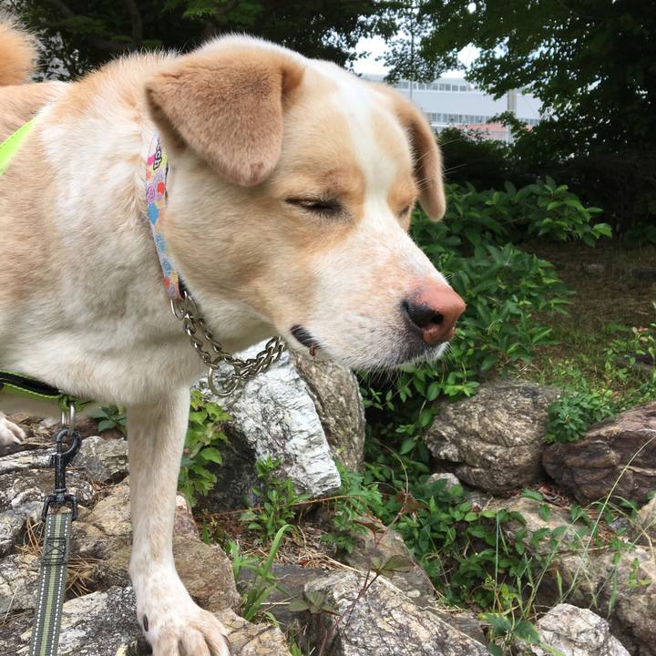 207f82ab 88a9 4f62 86b8 fb4d7a67bc45 1527218835191