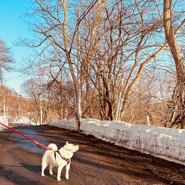 207f92be b4ba 4410 a79e 8e1d056d0ca5 1711836924783