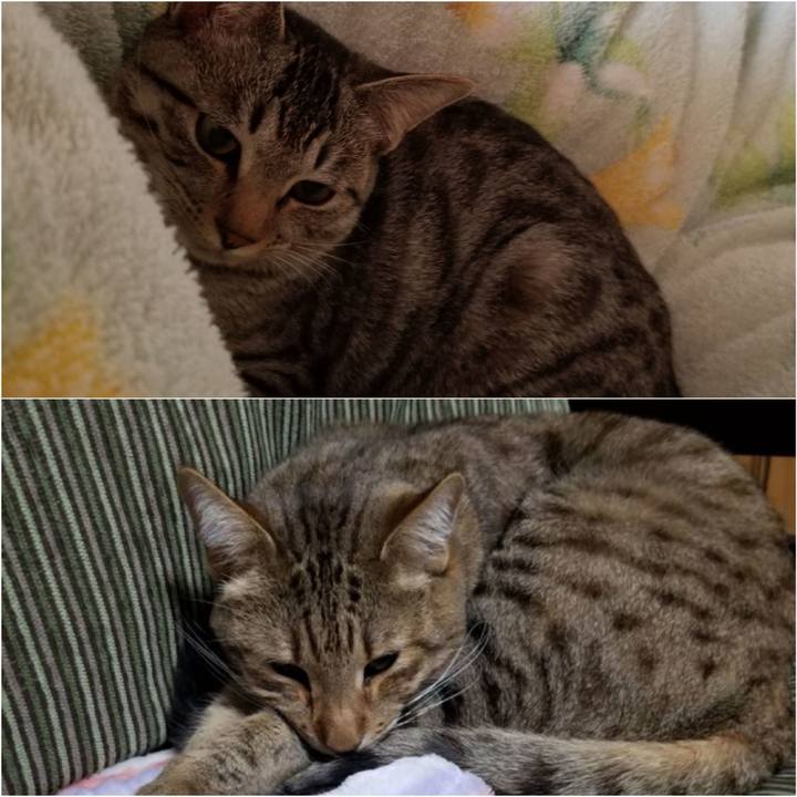 207fa638 e0f7 44f1 ac3f 6affe464ea84 1670719016803