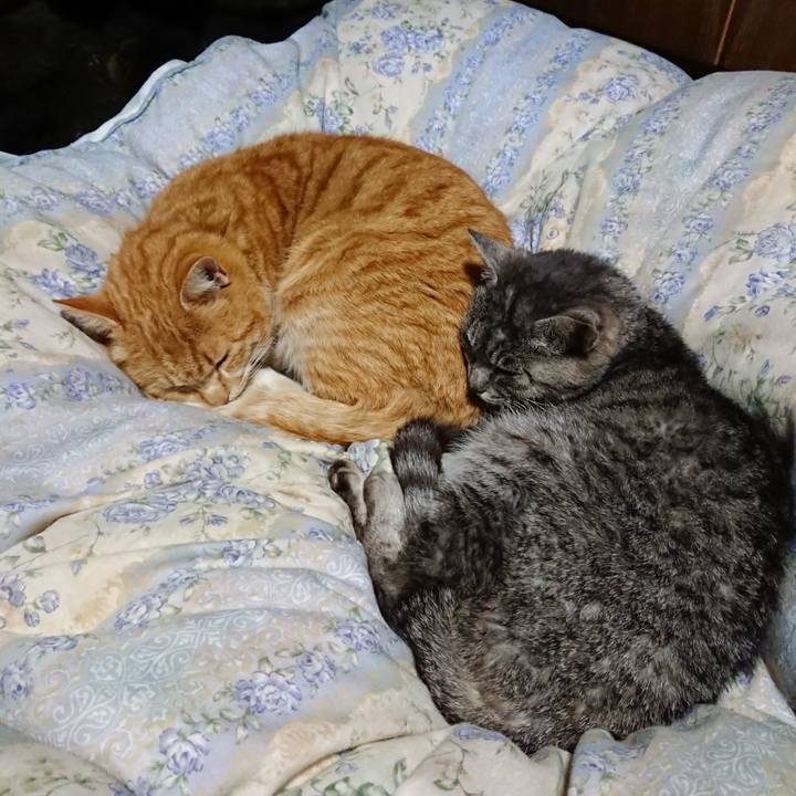 20803e7e f55d 472f a03f d0c1e984d8dc 1582456718397