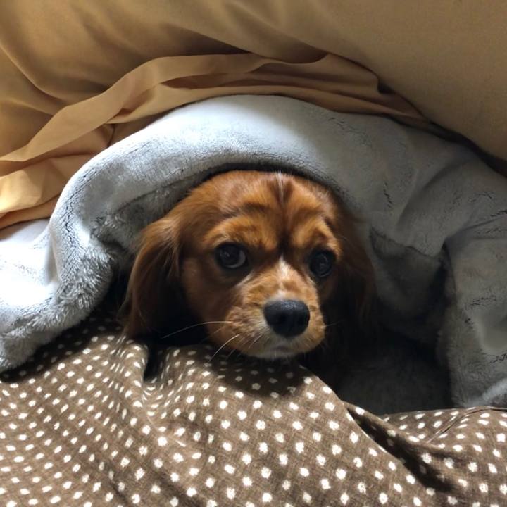 2080587d 15d1 494c ad0f 0504ea82475f 1572992131032