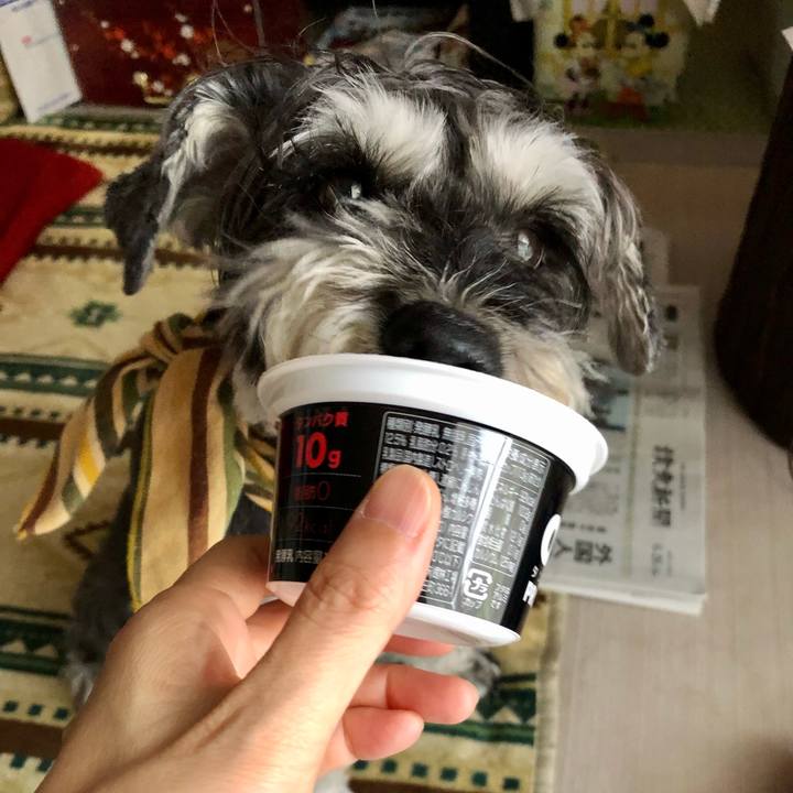 208088b7 4659 437e a2b4 3b6664d132e0 1656208167527