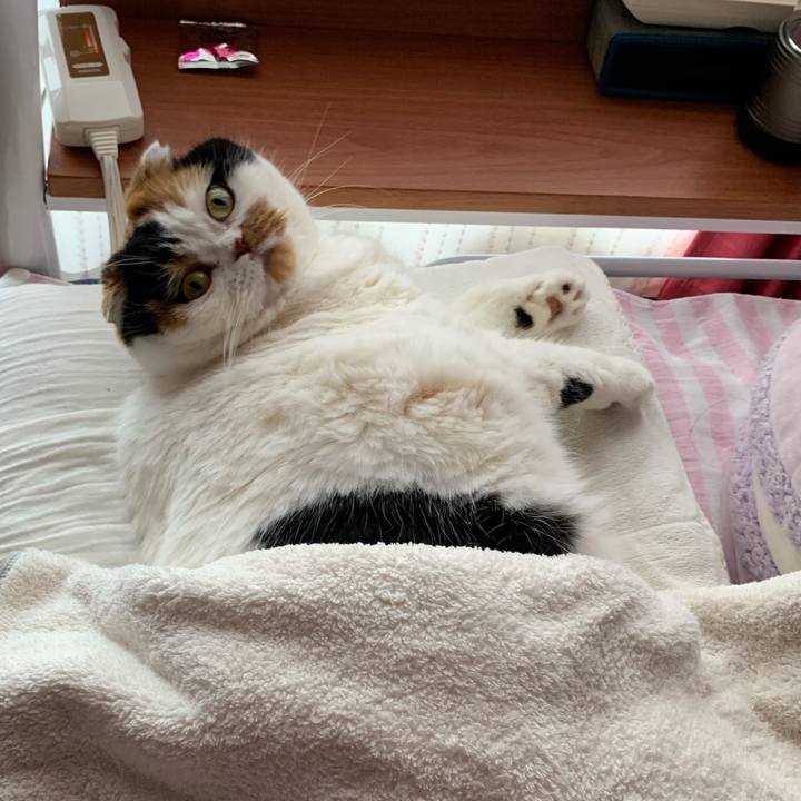 2080b2b7 4f97 4d38 aa0e 15486e4d9f4f 1580170706784