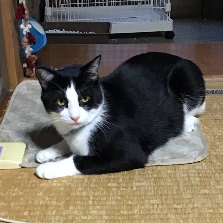 2080e6eb c971 49bc 8885 cc2a3dc7f00b 1665311970770