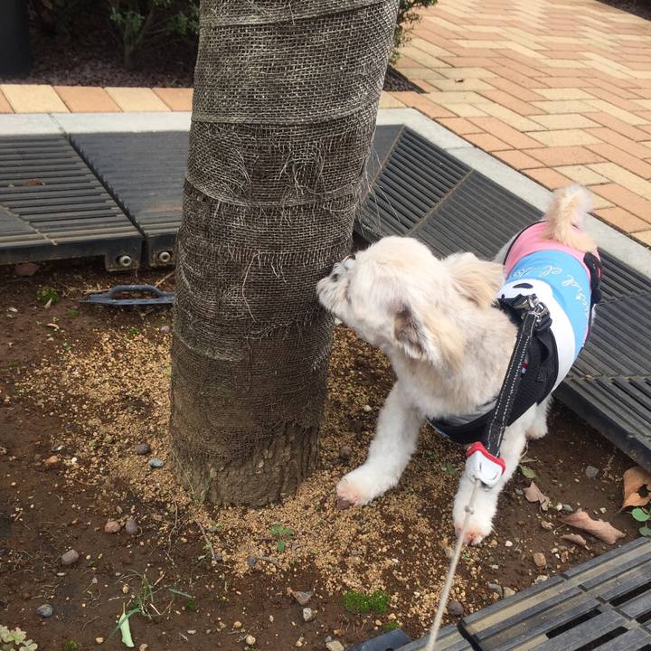 2081033d ebfe 4107 b694 70fed0c3a370 1537754970373