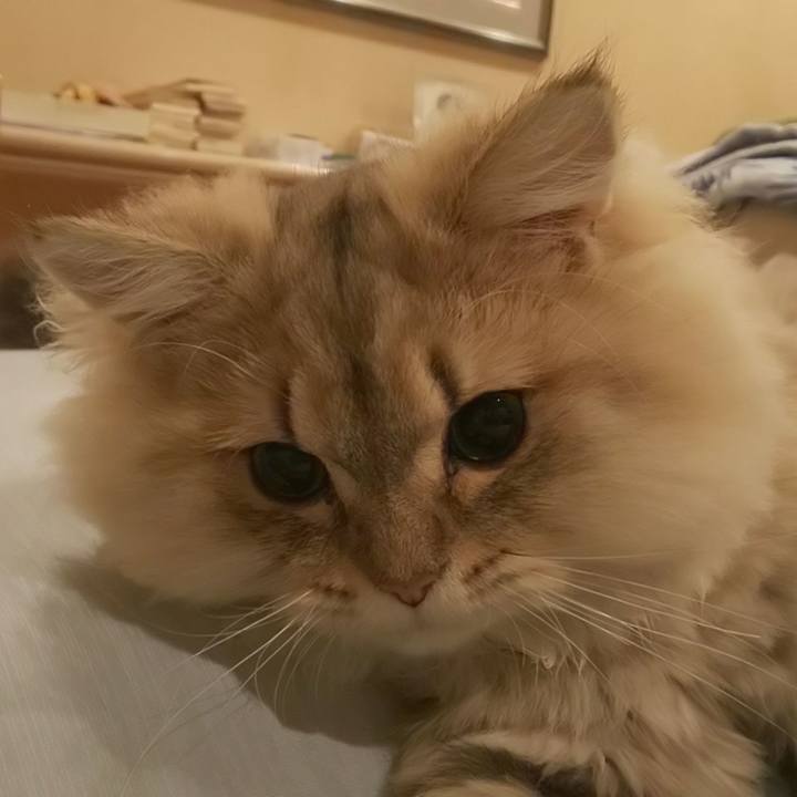 20813194 53c4 487b 8cee f27bf60ee83b 1570663568776