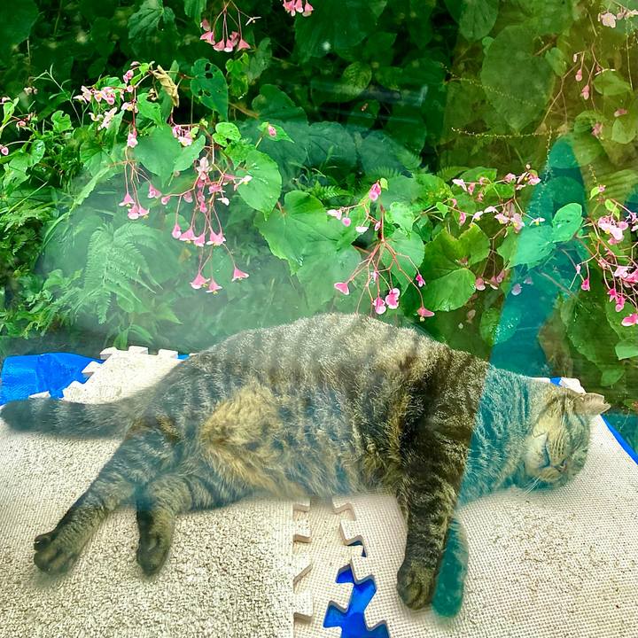 20814b03 e014 4164 b2ac 6e390e70edce 1663486993433