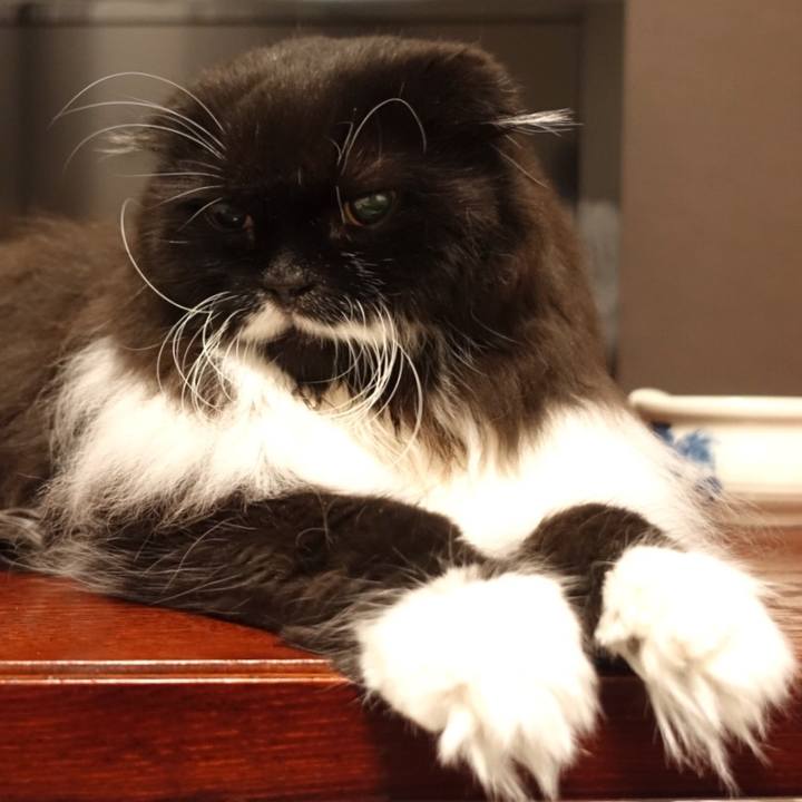 20818290 689c 4bec 8df3 a6466c3bb926 1563293197679