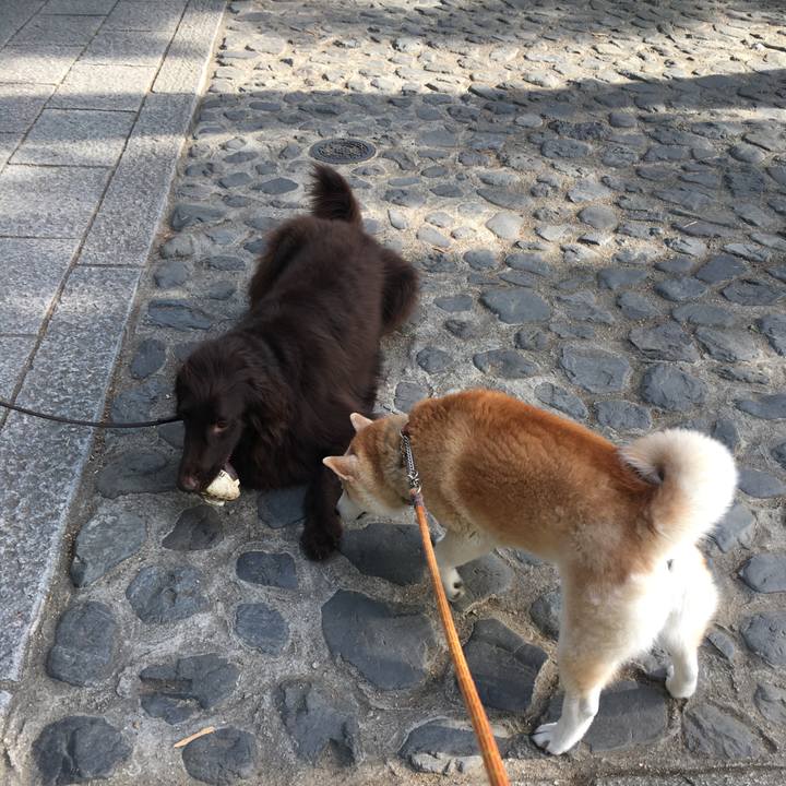 20818a50 2f5e 4916 b167 feeef56f3909 1525587832808