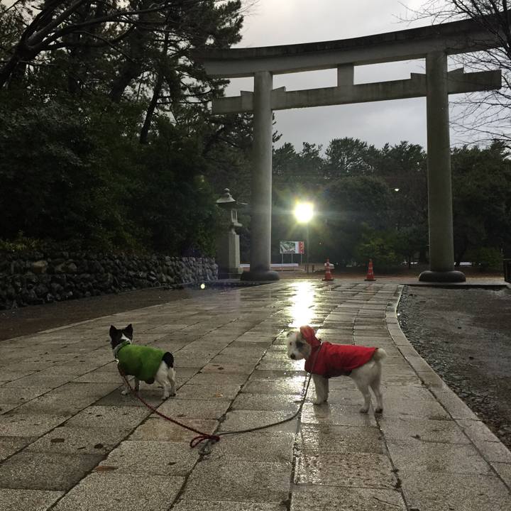 2081d7bc ef61 447c a7a2 a6803783e576 1513639695403