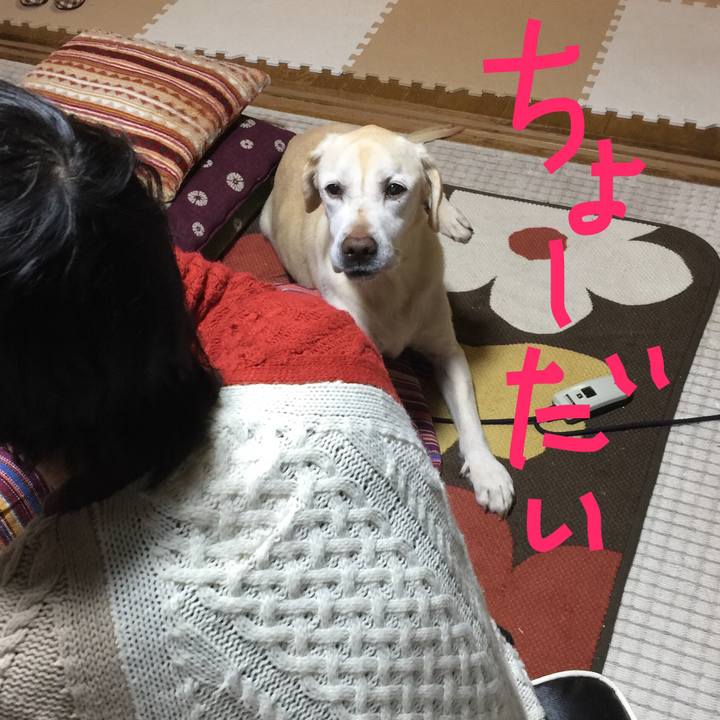 208218a0 d73c 4769 977f aab8d55678e7 1515147927211