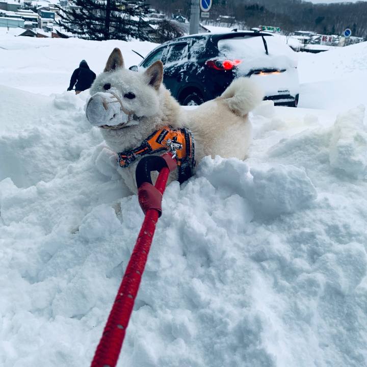 20823b05 0206 42fb 8802 98ee9826cf2a 1675291645505