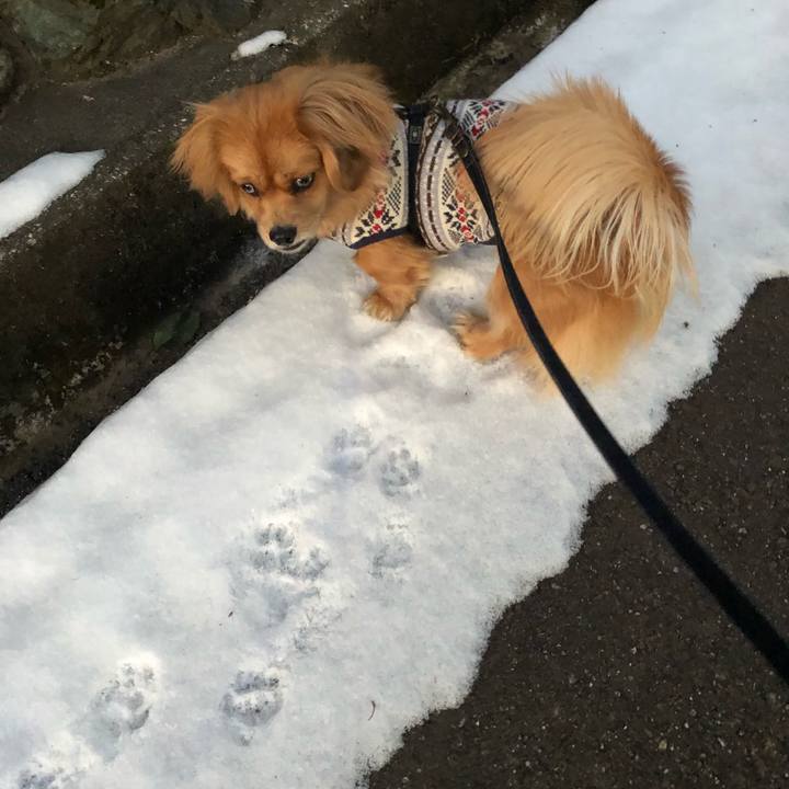 20824541 4ae4 4ee9 90d3 db9b74c39c2c 1517004680404