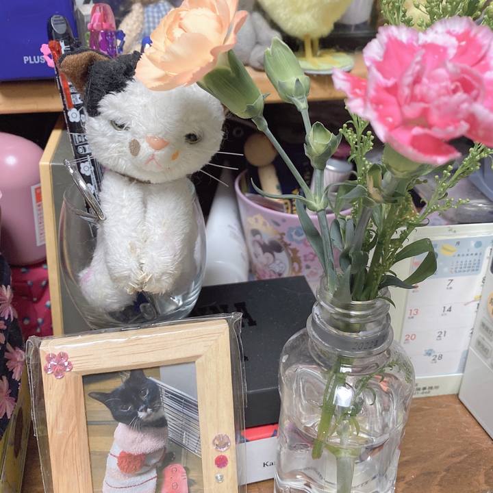 20825c12 e75f 43ca ba57 4d963b39c633 1645960616639