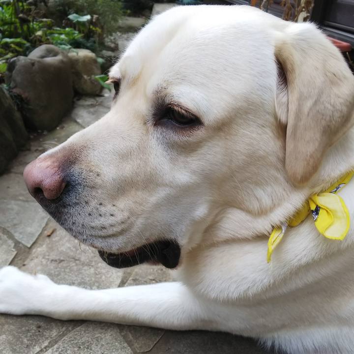 208297dd 9335 4264 a1b8 80baab61219e 1516339086107