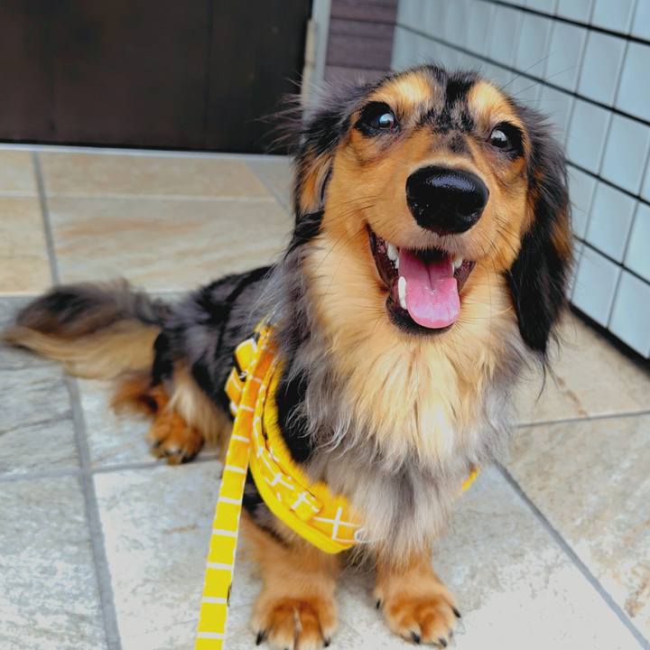 2082a161 4770 4d46 857d e15d55309e17 1721793985820