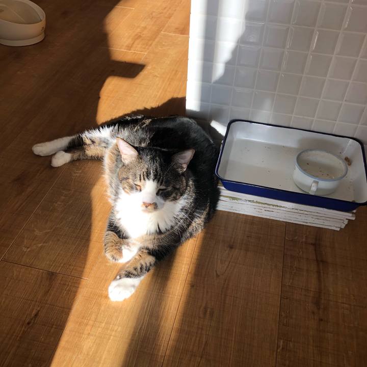 20831002 a2dd 4628 95f5 329ea1a1d704 1669333629256