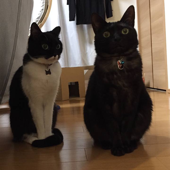 20831ea8 9e2f 41be aa60 220cb7d74877 1544529725295