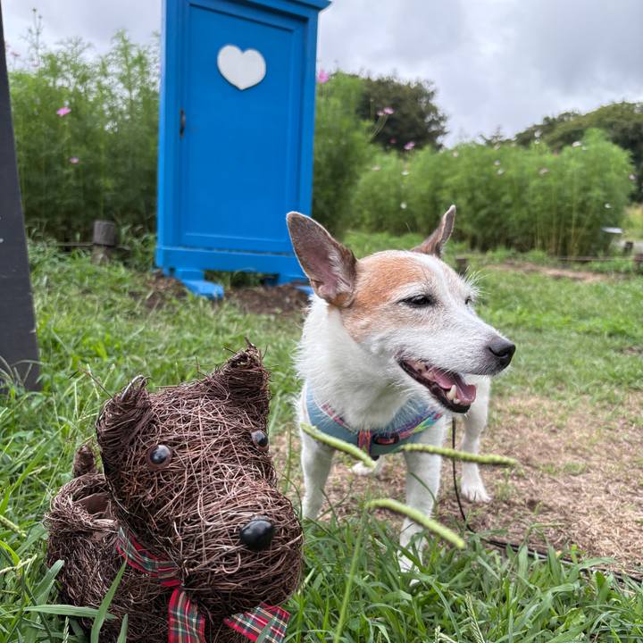 208325bb dd46 434c 935f 9d69708566f3 1757897477133