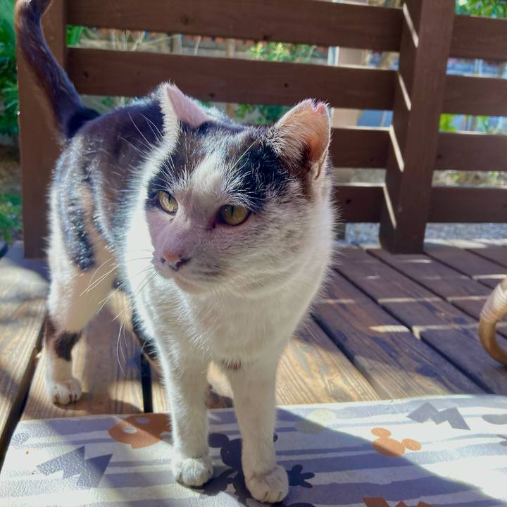 20833053 635a 44c2 9179 fd07c308861f 1773566906792