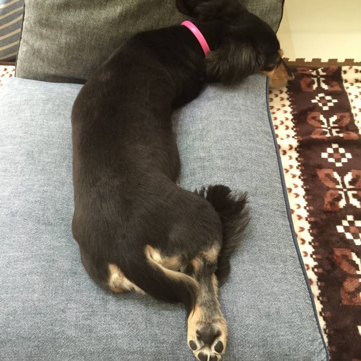 208332cd a047 4115 b3de a3deb6b2af7d 1524614962208