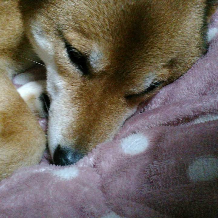 20836d26 30aa 4fca b3a1 397f8cbc3d73 1517231892297