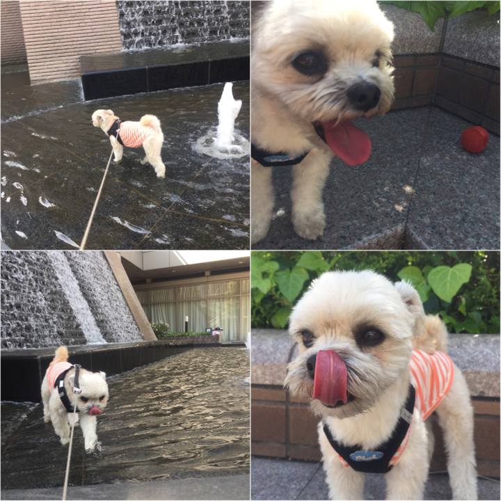 20838a2e 6cb9 4641 8296 71f1cad3d186 1524301464333