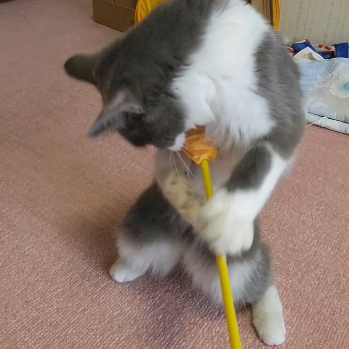 2083a6b8 273b 4ffb b7f4 c7c9cb110275 1569969494332