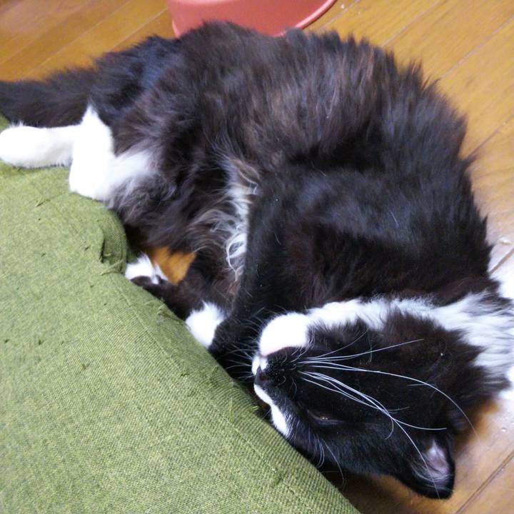 2083b055 14e1 4ea8 a308 e4d0913200b2 1646031672069