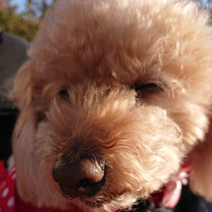 2083bbf8 2118 4c20 8b28 245a80817745 1575100555104