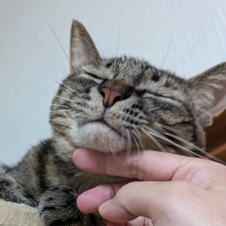 2083c0b7 896f 4d6c af06 94b13c5e38a2 1731311560084