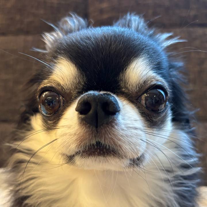 2083d7dc 8ca9 4384 84c8 615621ce81fb 1755990443526