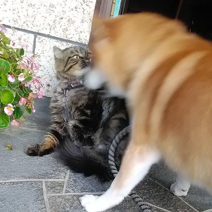 2083da26 d1f1 42b9 9245 acaaf44b8de4 1601612413691