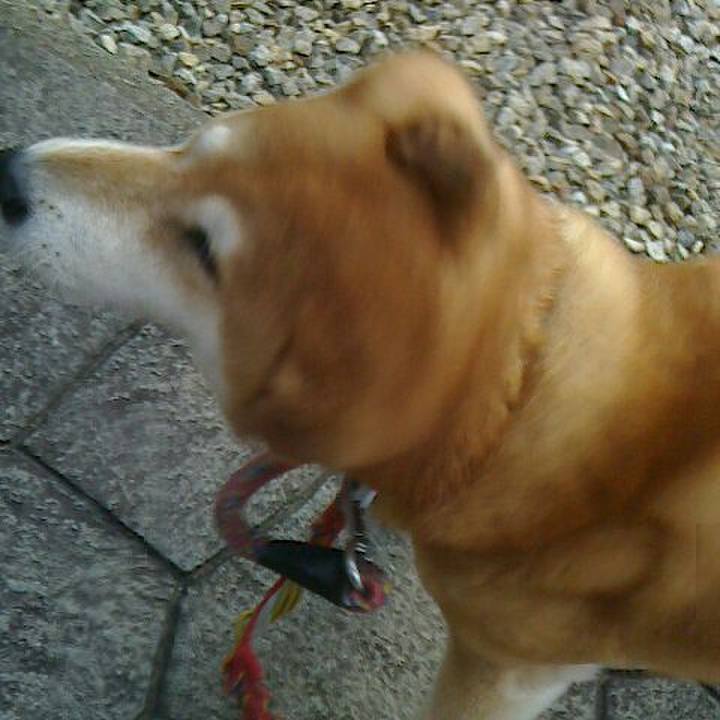 2083ddbe 57ff 41a8 b532 06ccf5dcfa32 1565260453954