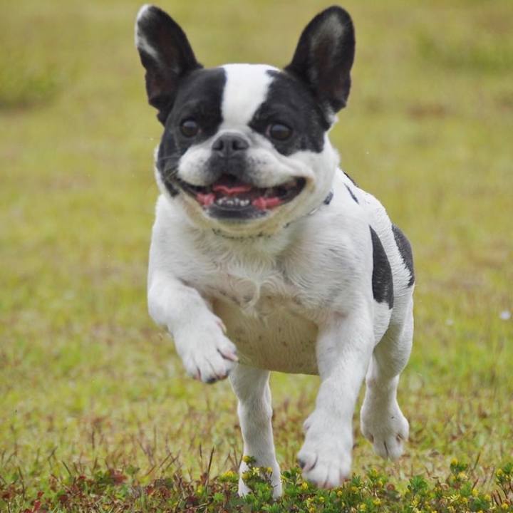 2083efb0 3e88 48cc 8abb 226332adb5ff 1636299061692