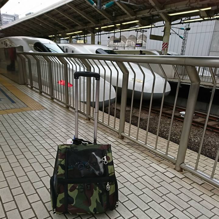 2083fff5 a872 4b20 9b57 a11540a9a27d 1517119975962