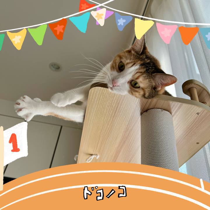 20845600 dbde 4f9e 90d8 a826de56c65e 1761621122544