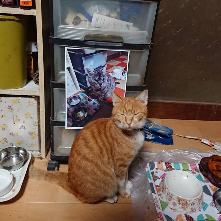 20846089 15de 4cc7 847f d38517756273 1599336932770