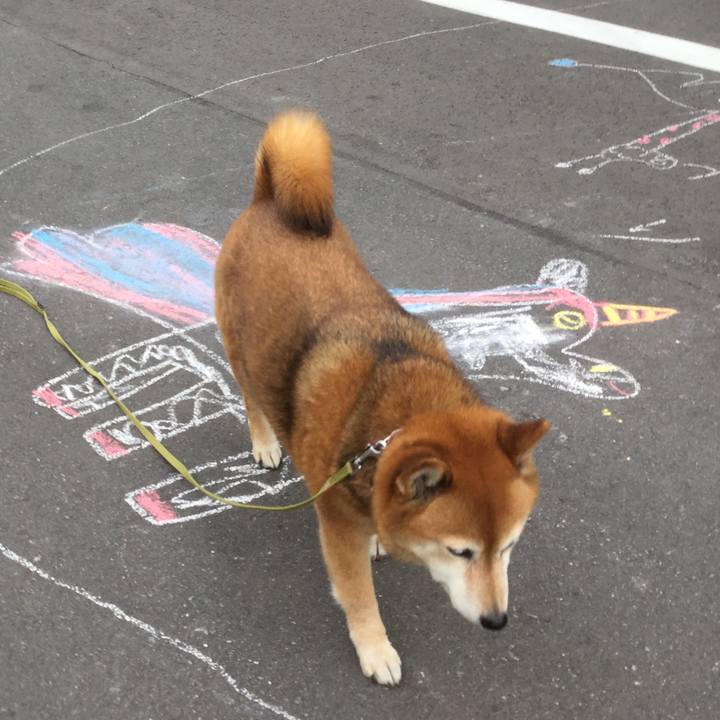 20849c34 14f7 452b 9455 7b1f504f606a 1617353694736