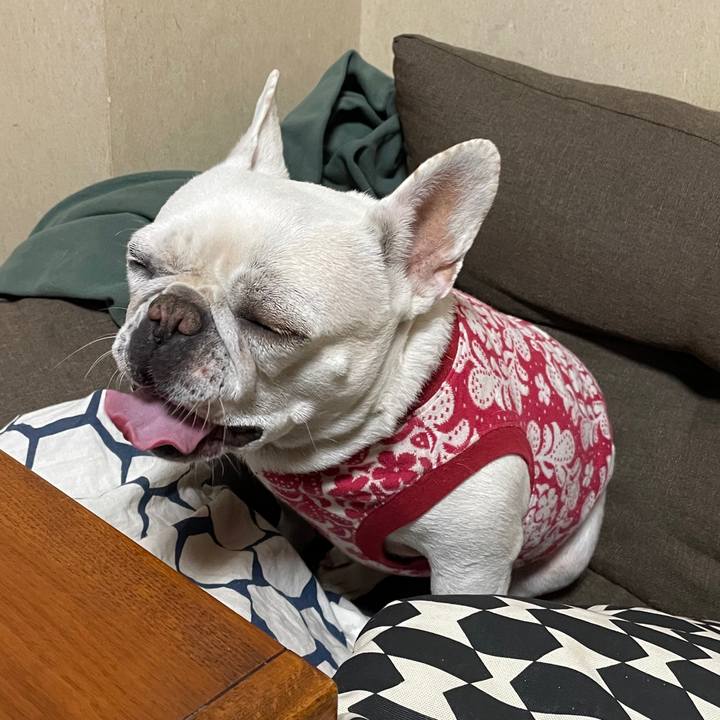 2084f06e 53f3 4928 967a 72571b000476 1740006674279