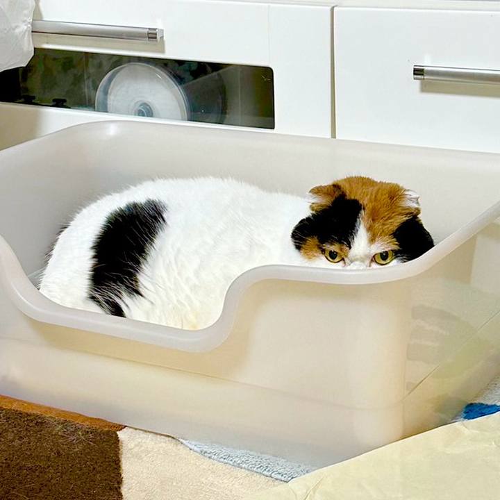 2084fe29 aeb0 4732 a69b 6ad15f676aac 1703634606094