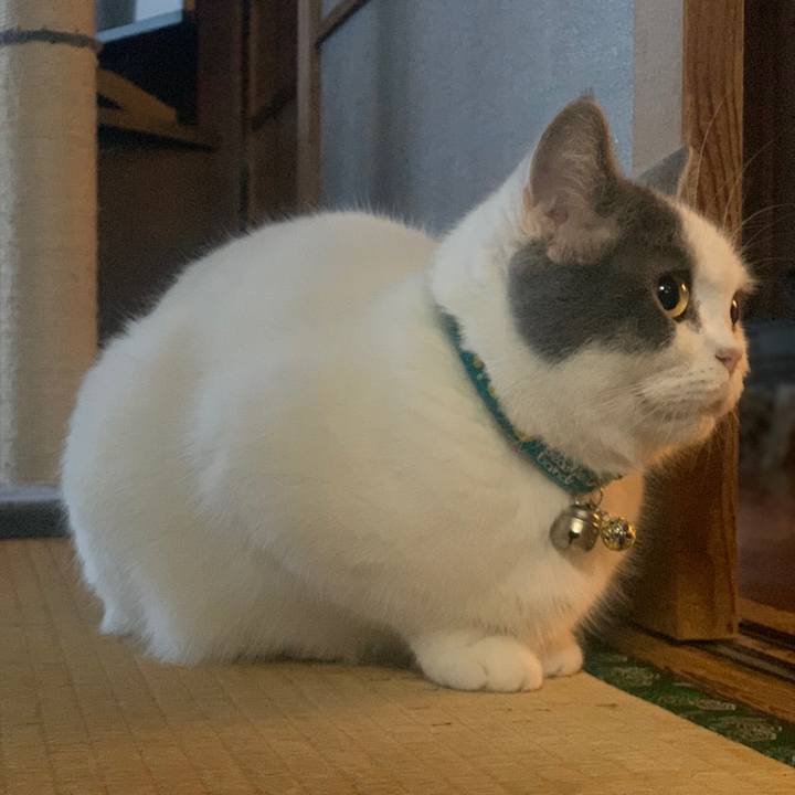 20851c73 2e6e 46ca 97f4 f78c0be734a3 1640570826103