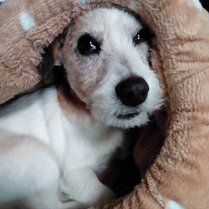 20852710 64f4 4e45 b46a 48590e84ba8e 1586522099459