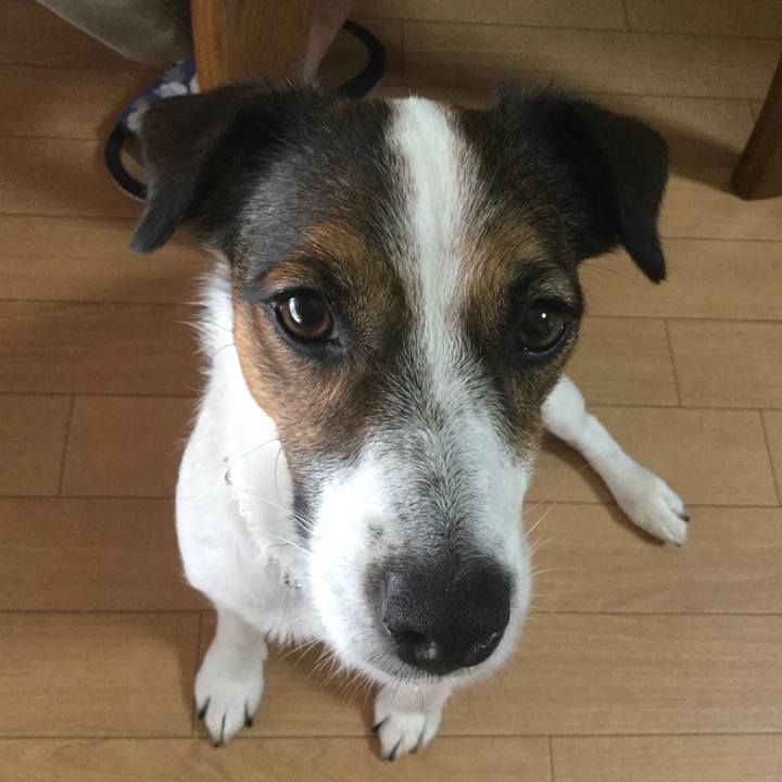 20852cc6 8db2 487f b13f eaac23308aa8 1535856069377