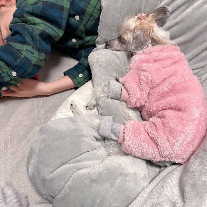 20854bcd 5091 4a90 bd28 fdc3f707ecc5 1769664104776