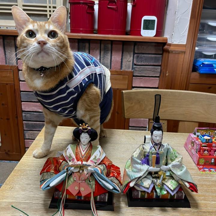 20855124 3b90 4aae 9fca 96f61a9bdcb6 1614775778221