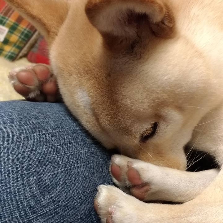 20856104 91dc 4240 bf0d 266b7400e704 1544570740989