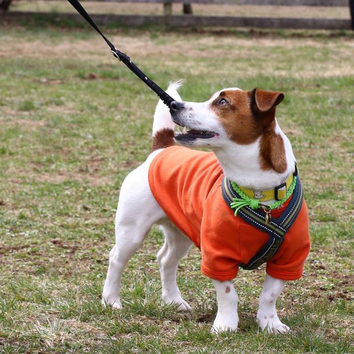 20858eed 08d0 4311 9723 3d11d3ec96f0 1555506092109