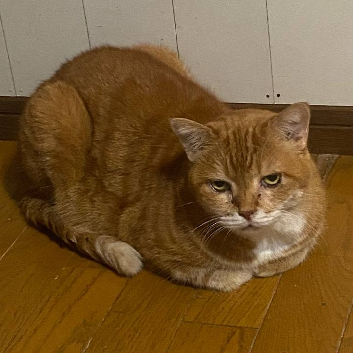 2085d5af 30ed 4b9e 8ee6 6b314b145906 1730716188253