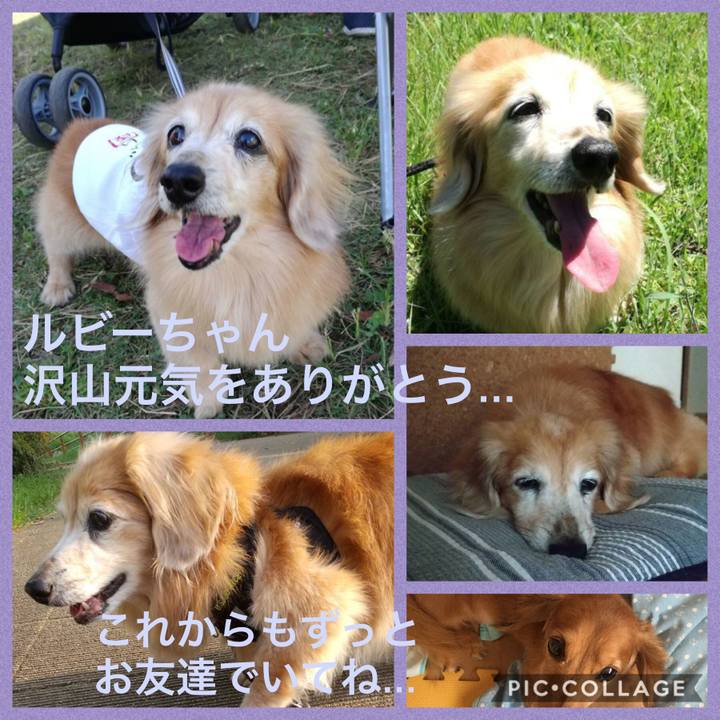 2085fcfb d313 4a23 99ea 9b1be73900f9 1597839197065